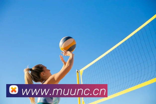 乐鱼官网登录首页平台生态图